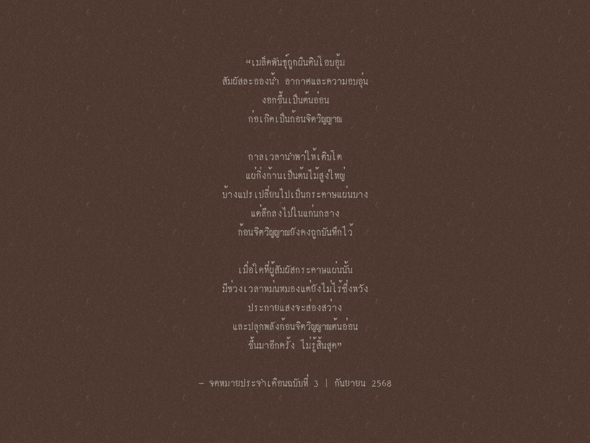 Sprout Spirit … ผู้พิทักษ์ก้อนจิตวิญญาณต้นอ่อน